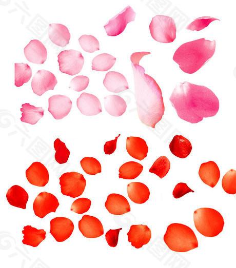 红太阳配资 科创板股票下月起纳入沪股通，仅限机构专业投资者参与