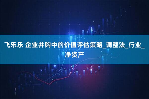 飞乐乐 企业并购中的价值评估策略_调整法_行业_净资产